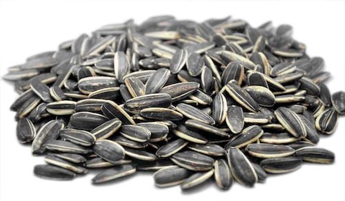 slnečnicové semienka: top 10 najzdravších semien