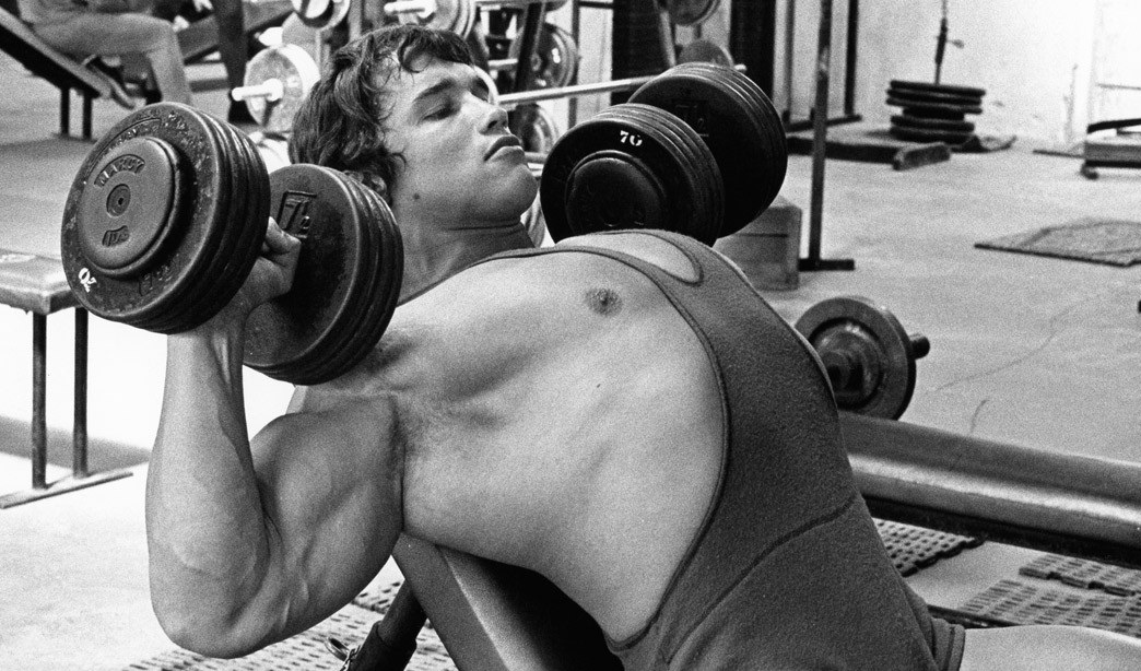 Training according to Arnold Schwarzenegger