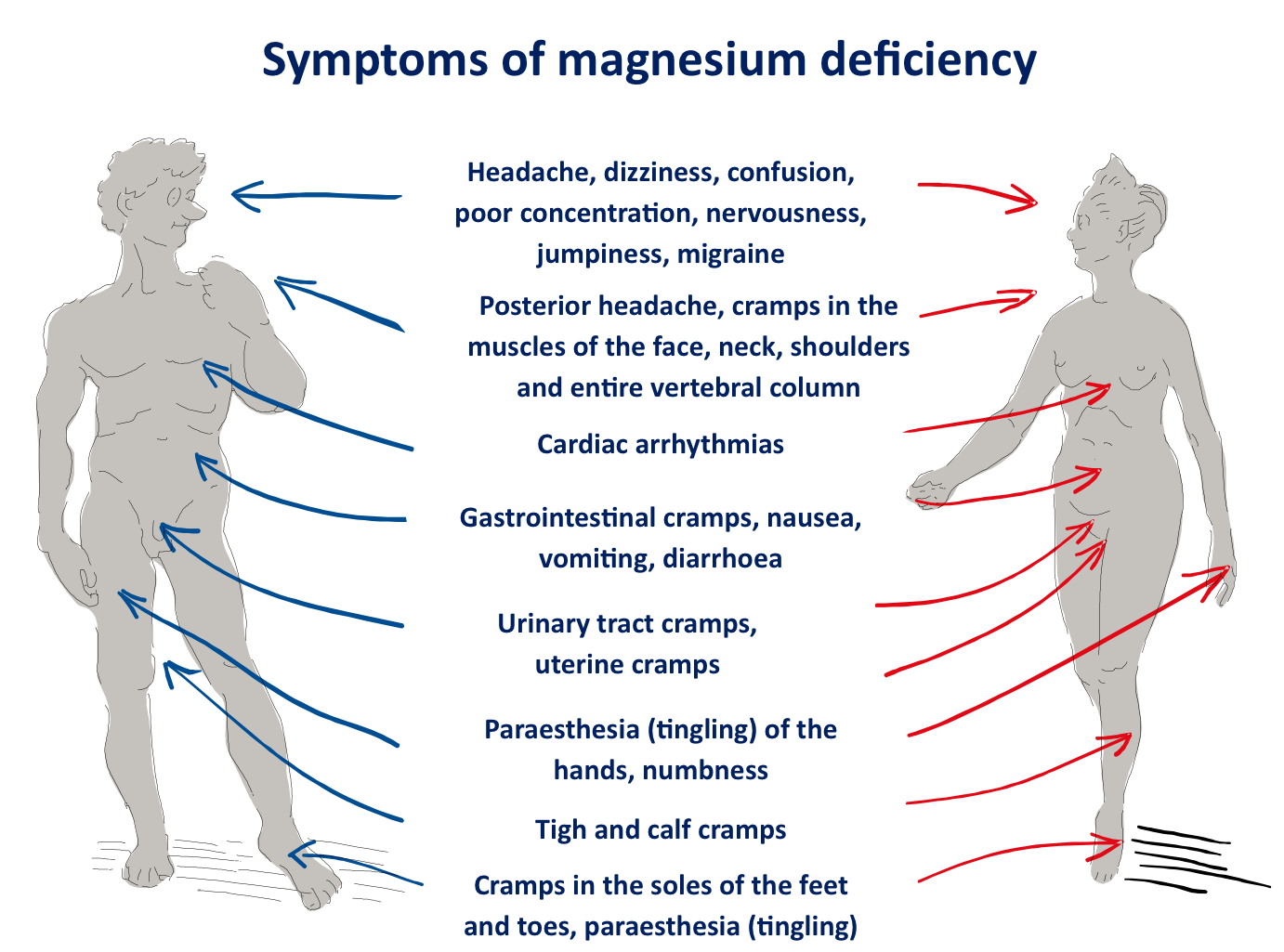 Why is magnesium so important for athletes?
