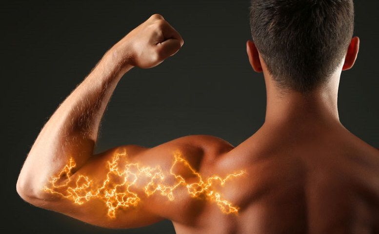 Beta alanine and its use in sports