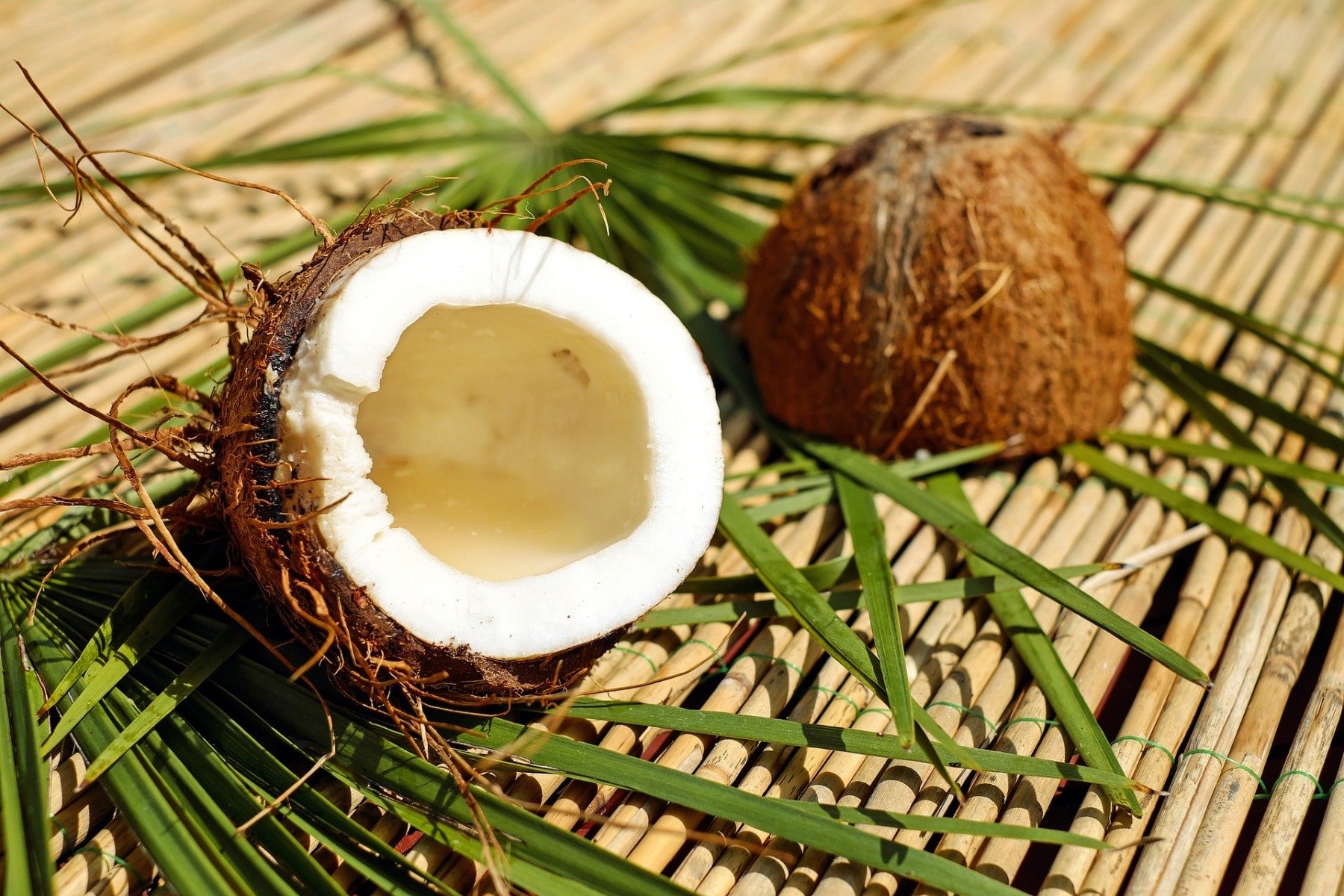 Kokosova moka vsebuje veliko vlaknin