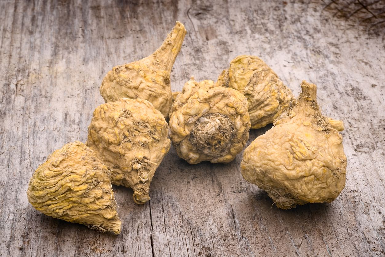 Maca: super food and miracle from Peru