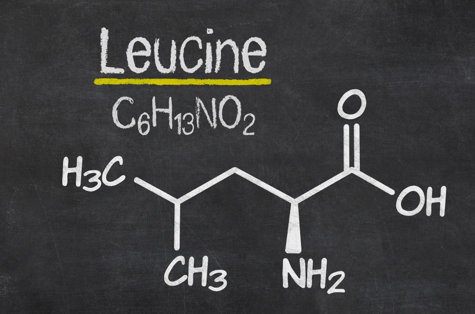 Leucine and its effective use for muscle growth and regeneration