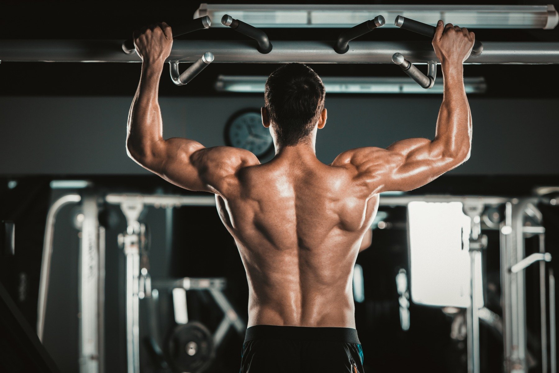 Список упражнений: Мышцы спины