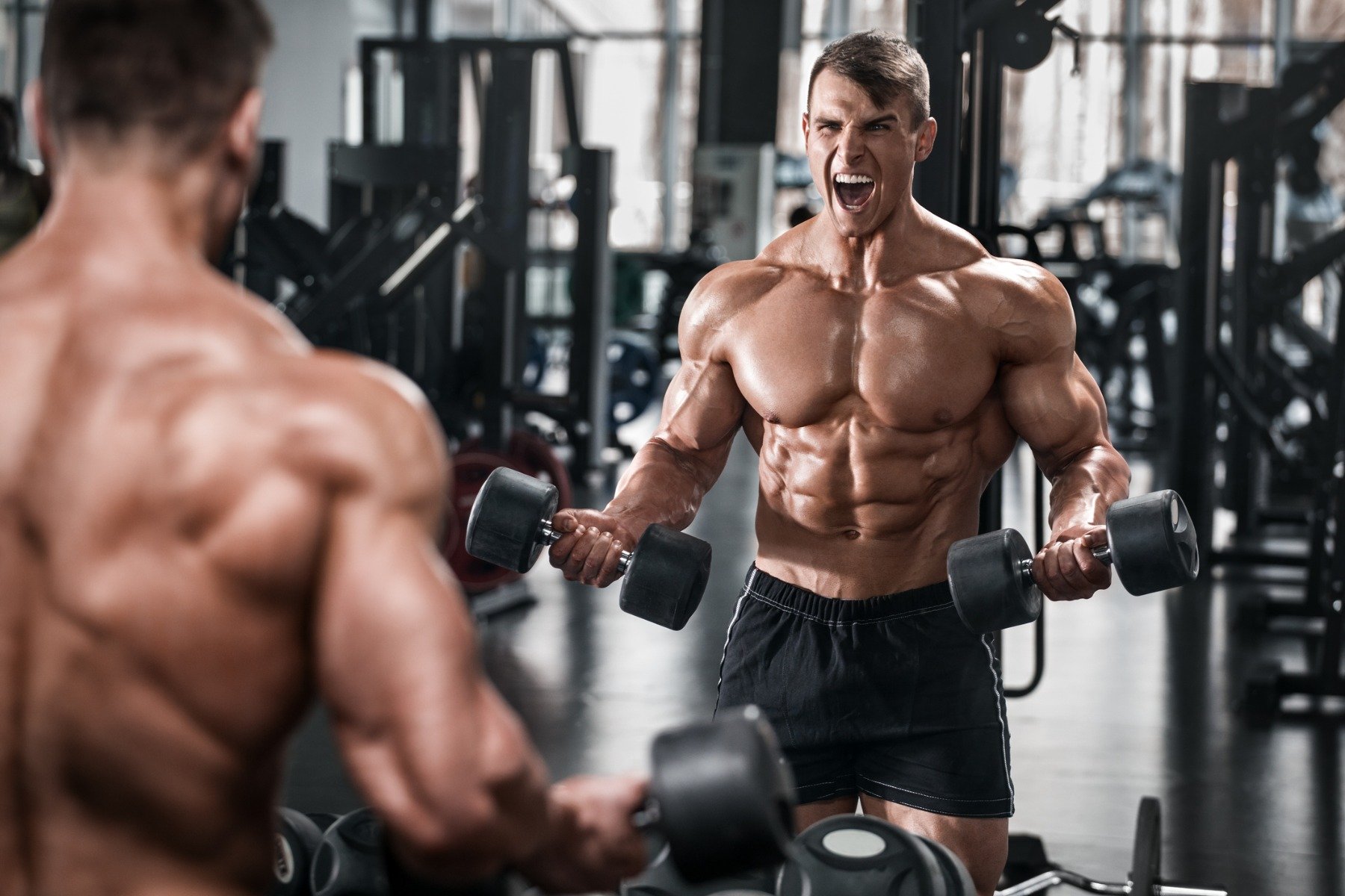 ZMA and ZMB: More than minerals that will improve your results