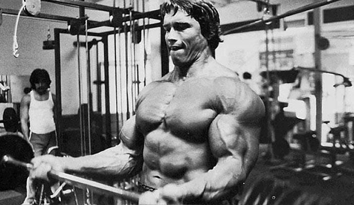 Arnold Schwarzenegger 31 Tips For Every Muscle Part Gymbeam Blog
